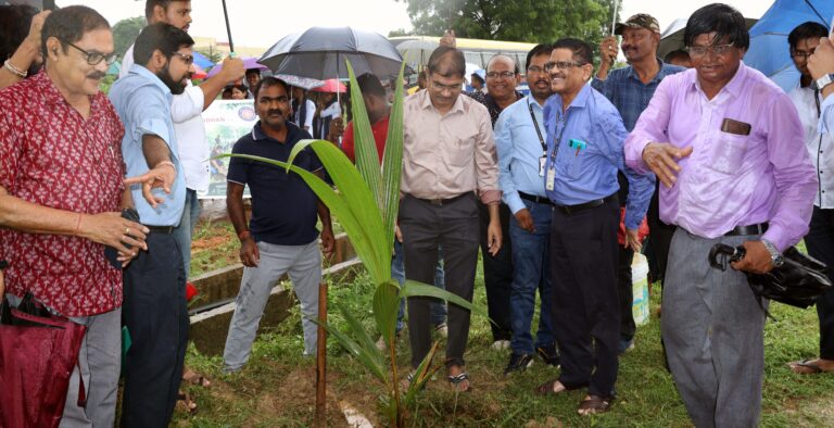 tree-plantation-1.JPG